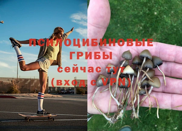 амф Баксан